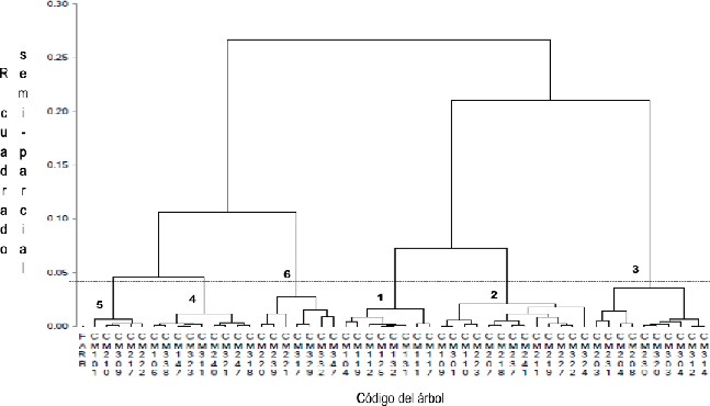Figura 2. Dendrograma de la colección de 52 individuos de C. moschata, a partir de 25 variables cuantitativas y cualitativas. Agrupamiento por el método Ward, distancia euclidiana. 

 