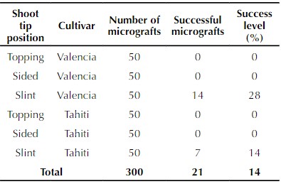 Table 3. Effect of three methods of micrografting on Valencia orange and Tahiti lime