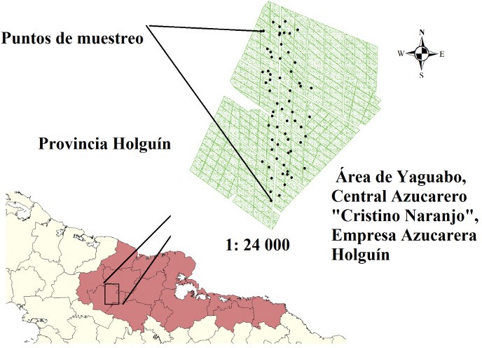 Figura 1. Ubicación del área de Yaguabo en la
Empresa Azucarera “Cristino Naranjo”, en el
municipio Caco- cum, provincia Holguín. Representación de los puntos de
muestreo.