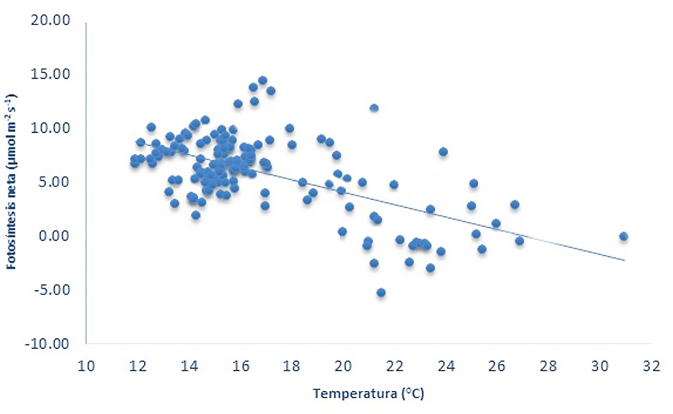 Figura 4. Relación entre la temperatura foliar y las tasas netas de asimilación de CO2 (PN) en las plantas de fique cultivar Ceniza.
Promedio de tres repeticiones y dos períodos de medición. 