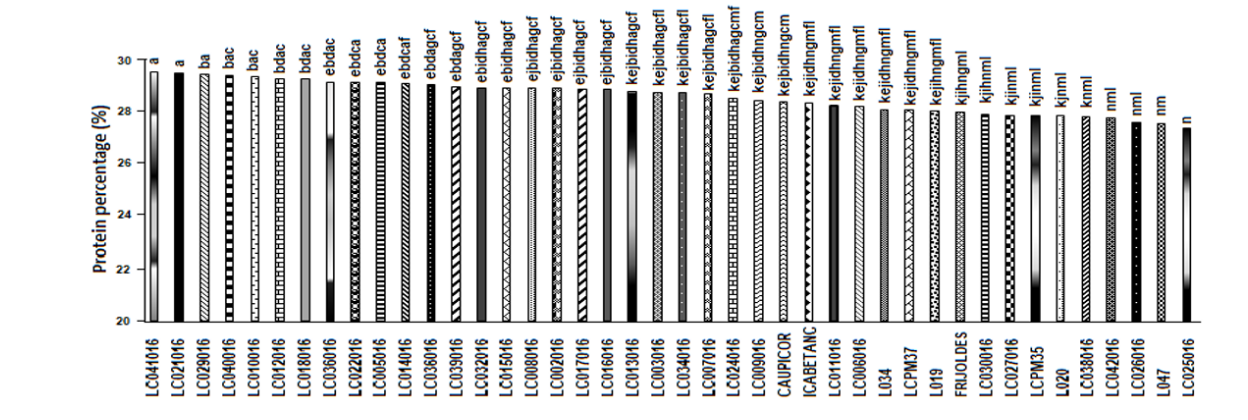 Figure 1. Total seed protein of 40 advanced genotypes in Córdoba, Colombia in the 201