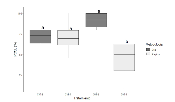 Figura 1. Porcentaje de colonización en raíces de banano con y sin
inoculación de micorrizas CM y SM, y
dos técnicas para decoloración, “rápida” CM-1, SM-1 y “24 horas” CM-2, SM-2.
Promedios con letras diferentes, indican diferencias estadísticas
significativas (Tukey HSD, p-value<0.05). 

 