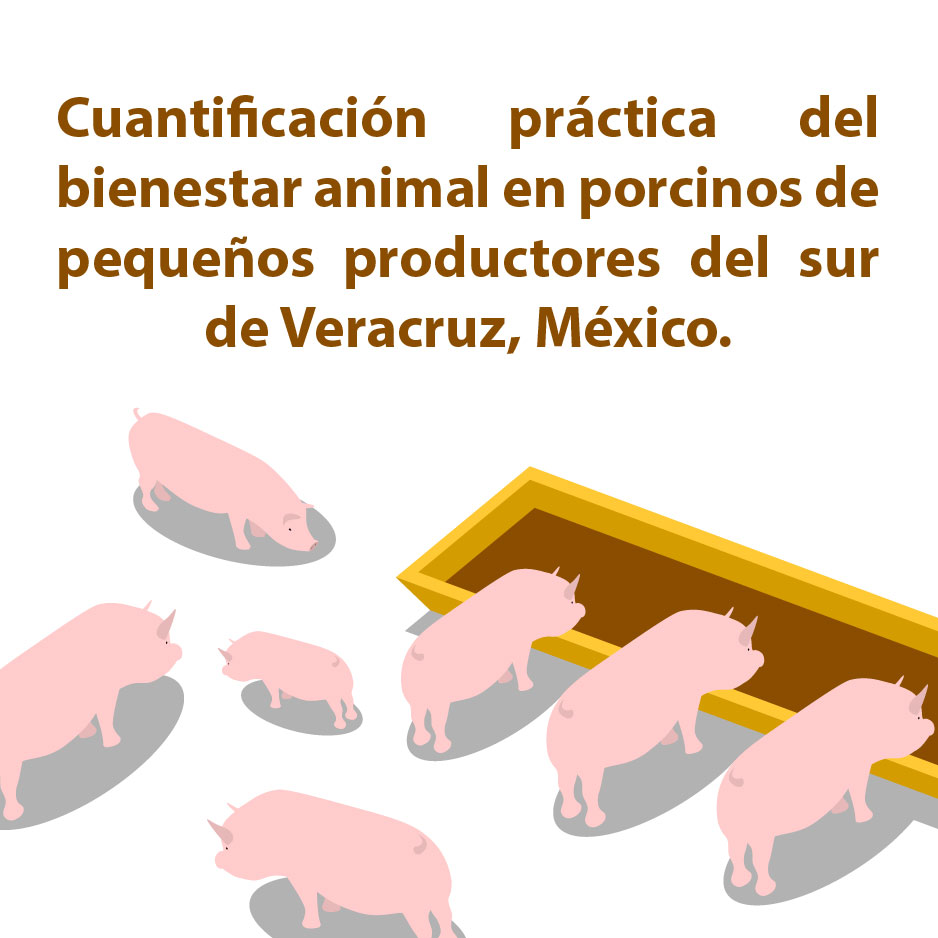 Cuantificación práctica del bienestar animal en porcinos de pequeños  productores del sur de Veracruz, México | Revista MVZ Córdoba